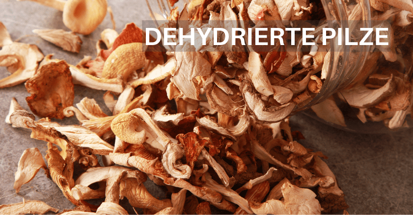 KAUFEN SIE GETROCKNETE PILZE